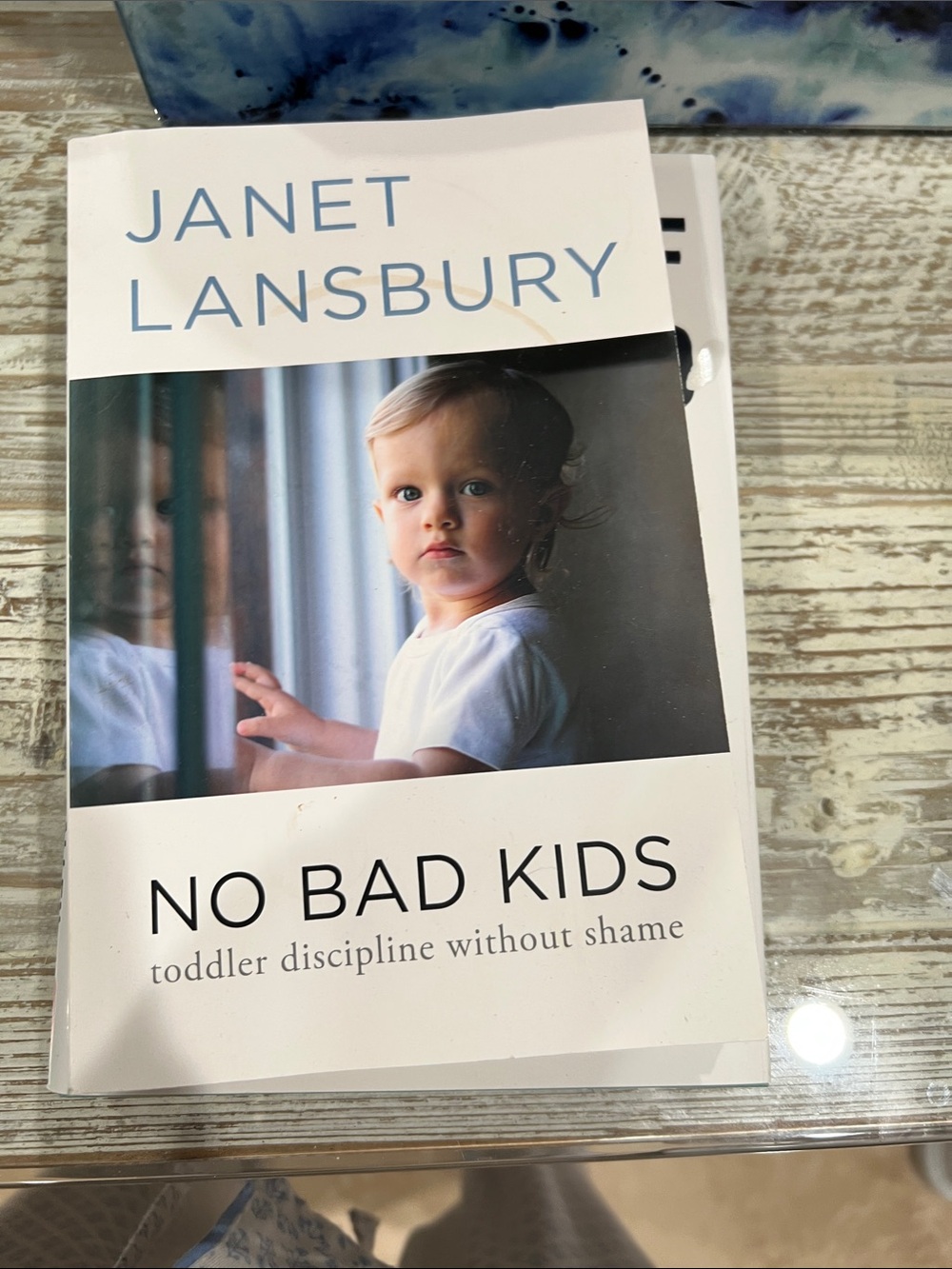 Janet Lansbury "No Bad Kids" Hardcover Book - White & Blue Cover
